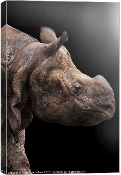 Majestic OneHorned Rhino Portrait Canvas Print by Darren Wilkes
