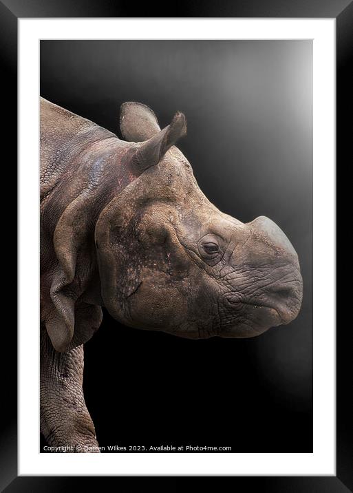 Majestic OneHorned Rhino Portrait Framed Mounted Print by Darren Wilkes