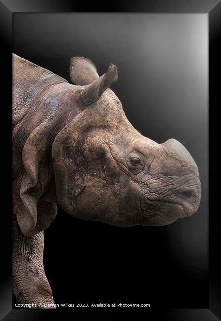 Majestic OneHorned Rhino Portrait Framed Print by Darren Wilkes