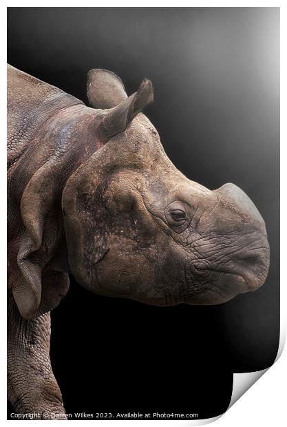 Majestic OneHorned Rhino Portrait Print by Darren Wilkes