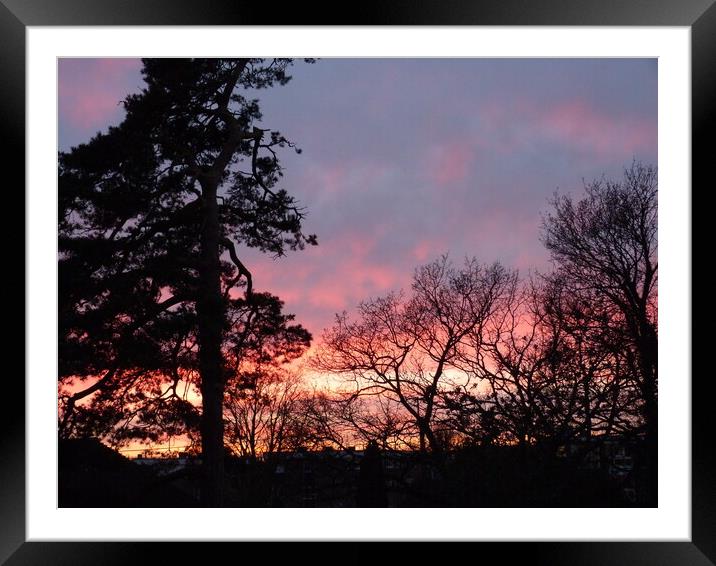 Radiant Sunset Silhouettes Tree Framed Mounted Print by Peter Hodgson
