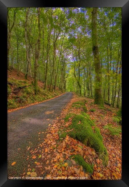 A Colourful Autumn Drive Framed Print by Darren Wilkes