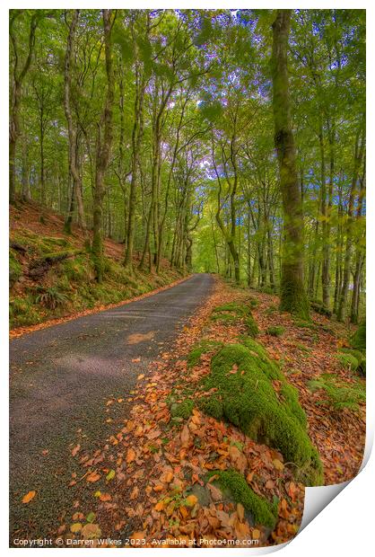 A Colourful Autumn Drive Print by Darren Wilkes
