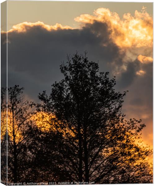 Setting Sun Canvas Print by Anthony Moore
