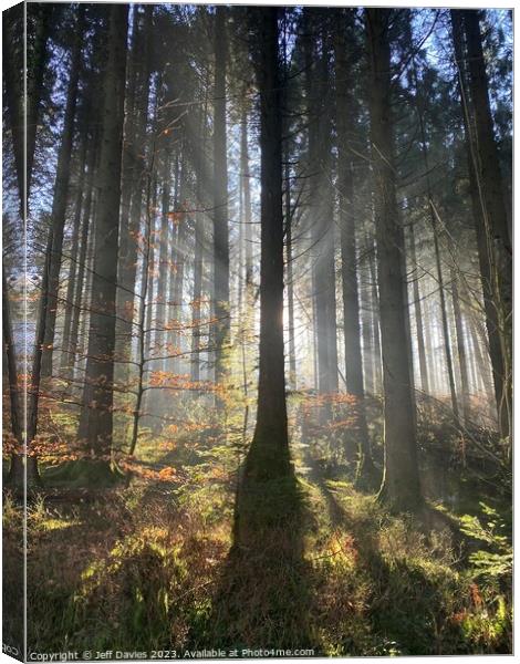 Dawn's Embrace in Llanwonno Forest Canvas Print by Jeff Davies