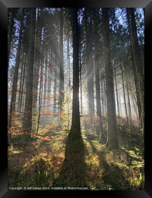 Dawn's Embrace in Llanwonno Forest Framed Print by Jeff Davies