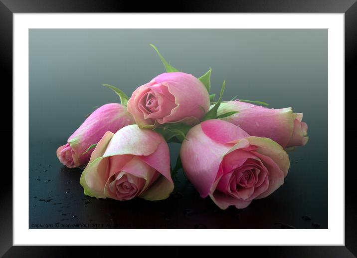 Dreamy pink roses Framed Mounted Print by Jean Gilmour