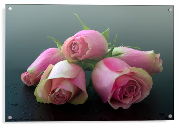 Dreamy pink roses Acrylic by Jean Gilmour