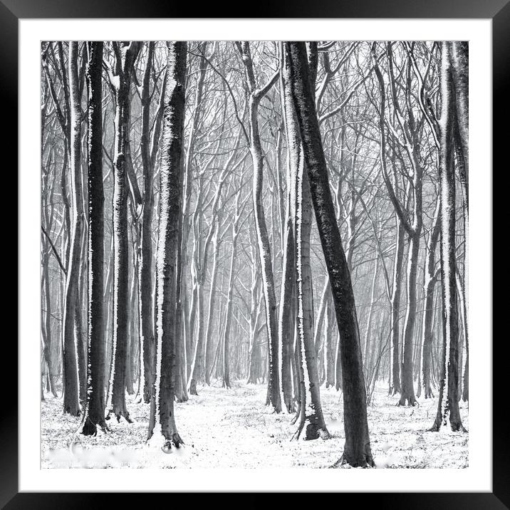 Snowy Woodland Path Framed Mounted Print by Simon Johnson
