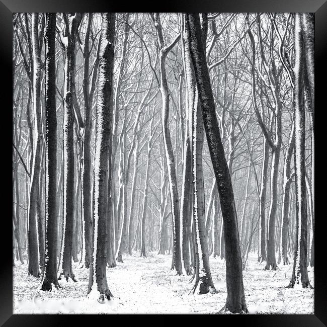 Snowy Woodland Path Framed Print by Simon Johnson