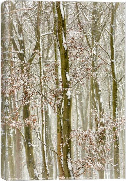 Frosted trees  Canvas Print by Simon Johnson