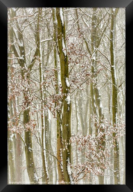 Frosted trees  Framed Print by Simon Johnson