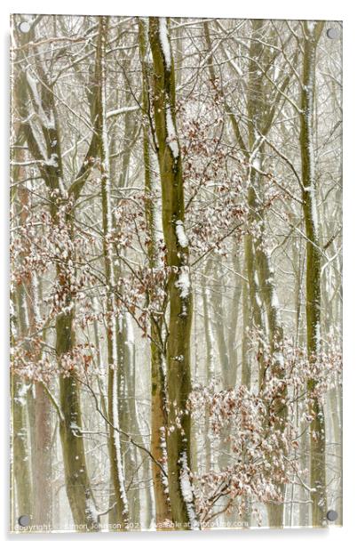 Frosted trees  Acrylic by Simon Johnson