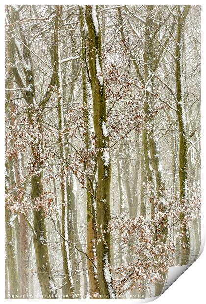 Frosted trees  Print by Simon Johnson