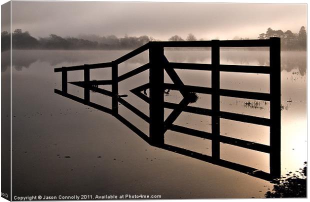 The Fence, Ullswater Canvas Print by Jason Connolly