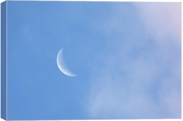 Simple Crescent Moon Canvas Print by Louise Godwin