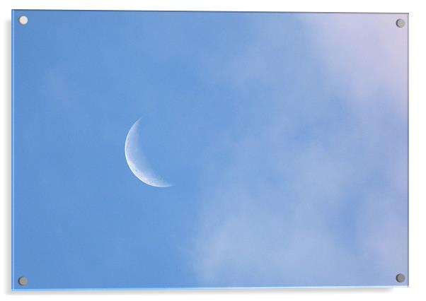 Simple Crescent Moon Acrylic by Louise Godwin