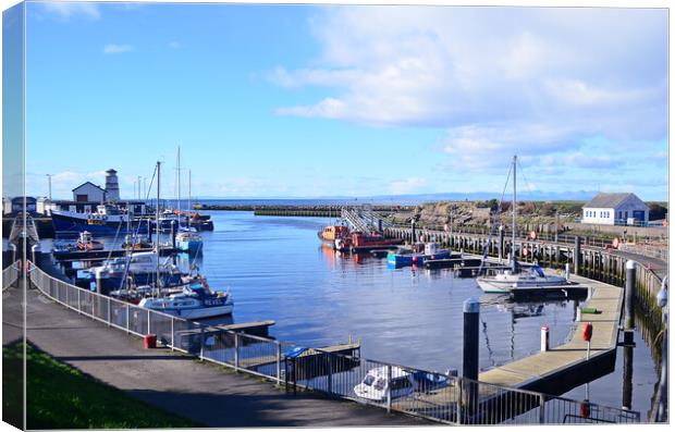Harbour boats berthed at Girvan Canvas Print by Allan Durward Photography