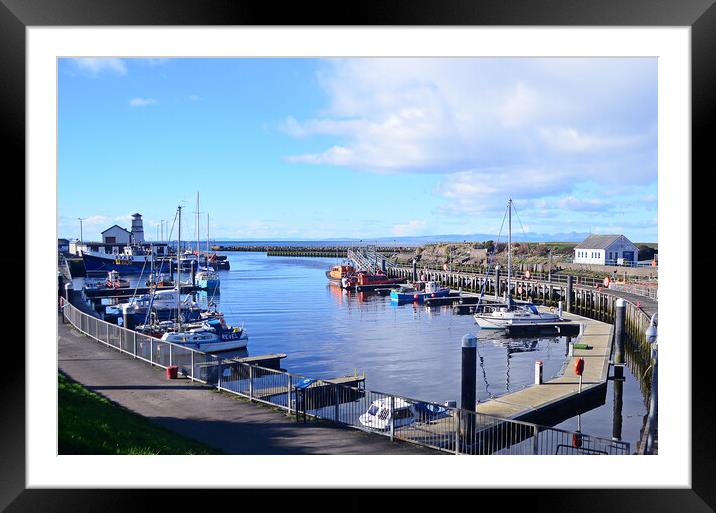 Harbour boats berthed at Girvan Framed Mounted Print by Allan Durward Photography
