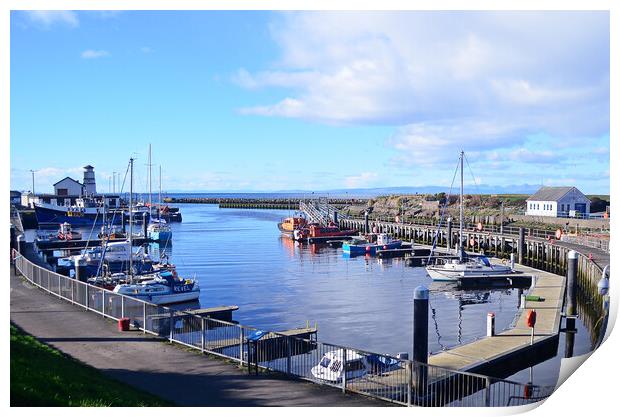 Harbour boats berthed at Girvan Print by Allan Durward Photography