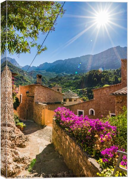 Fornalutx in Mallorca Canvas Print by Alex Winter
