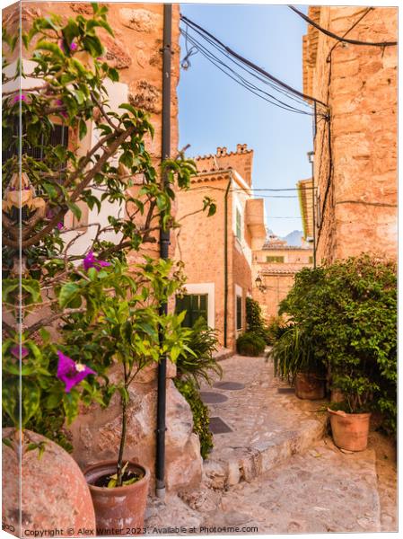 spain village fornalutx Canvas Print by Alex Winter