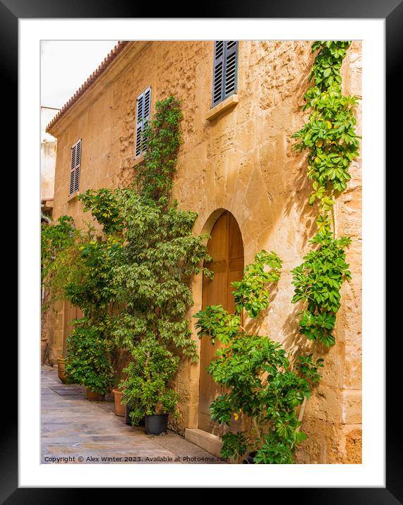 Typical mediterranean house Framed Mounted Print by Alex Winter