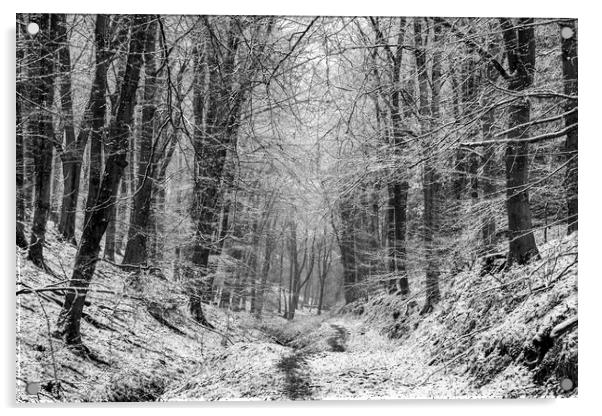 Winter Woodland No1 Acrylic by David Tinsley