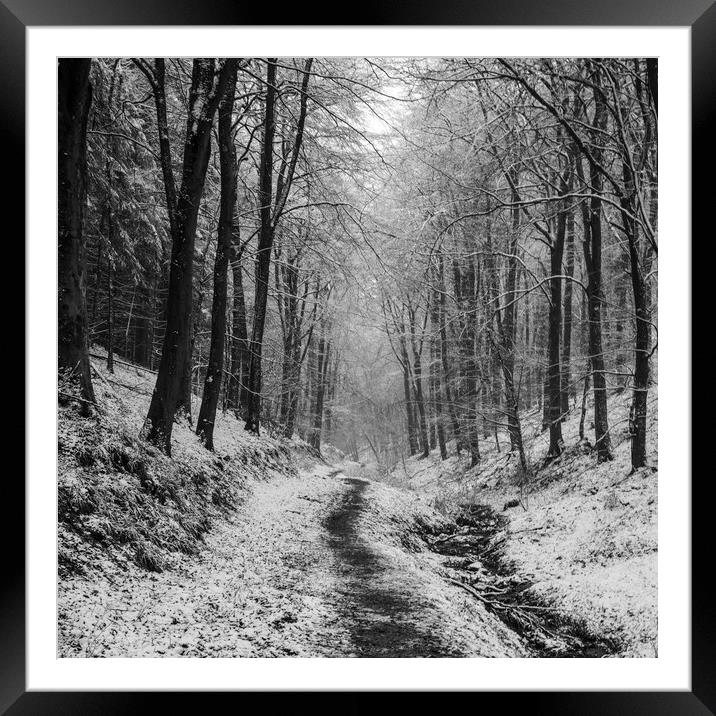 Winter Woodland Walk No2 Framed Mounted Print by David Tinsley