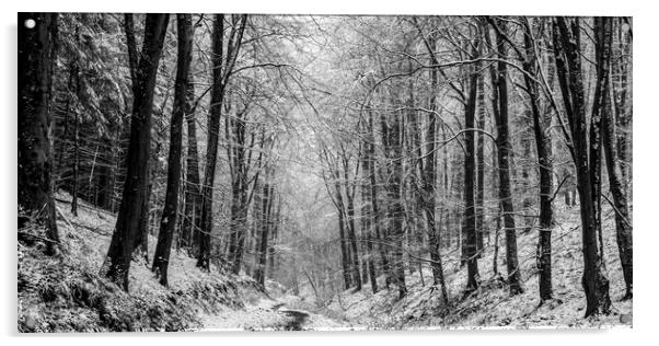 Winter Woodland Panorama Acrylic by David Tinsley