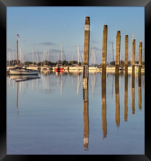Mooring posts at the Brightlingsea hard.  Framed Print by Tony lopez