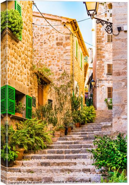 steps staircase alley Canvas Print by Alex Winter