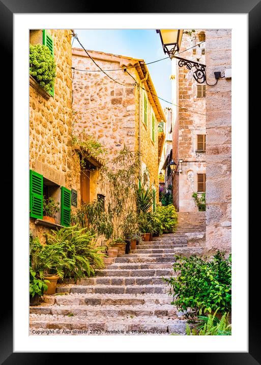 steps staircase alley Framed Mounted Print by Alex Winter