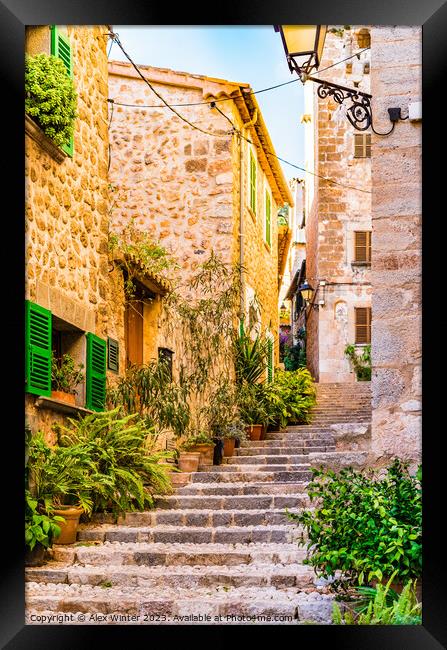 steps staircase alley Framed Print by Alex Winter