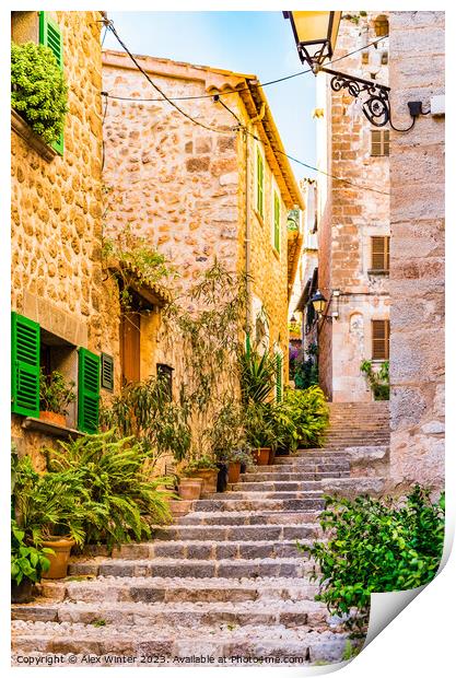 steps staircase alley Print by Alex Winter