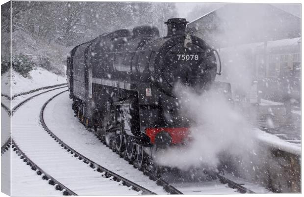Blizzard at Oxenhope. Canvas Print by David Birchall