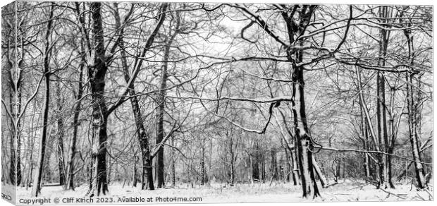 Woodland snow Canvas Print by Cliff Kinch