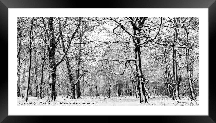 Woodland snow Framed Mounted Print by Cliff Kinch