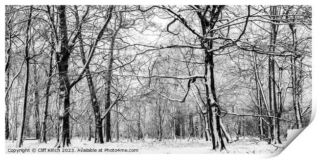 Woodland snow Print by Cliff Kinch