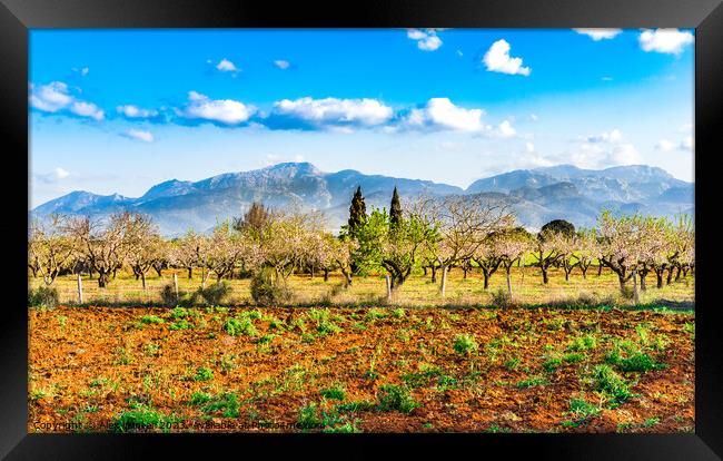 Idyllic view of nature scenery on Mallorca Framed Print by Alex Winter