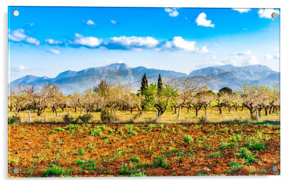 Idyllic view of nature scenery on Mallorca Acrylic by Alex Winter