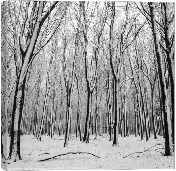 Woodland Snow Canvas Print by Simon Johnson