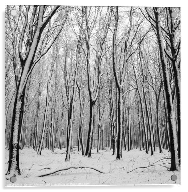 Woodland Snow Acrylic by Simon Johnson