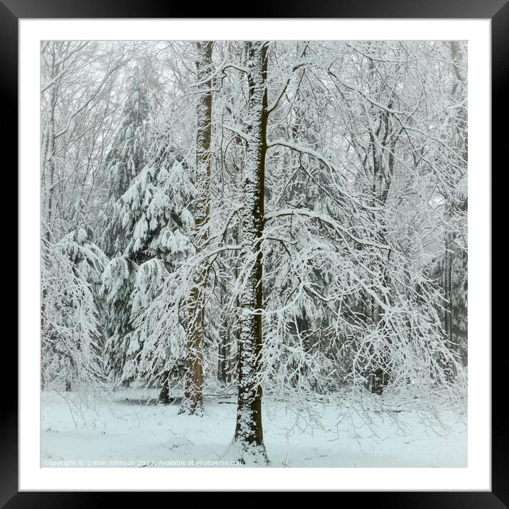 woodland snow Framed Mounted Print by Simon Johnson