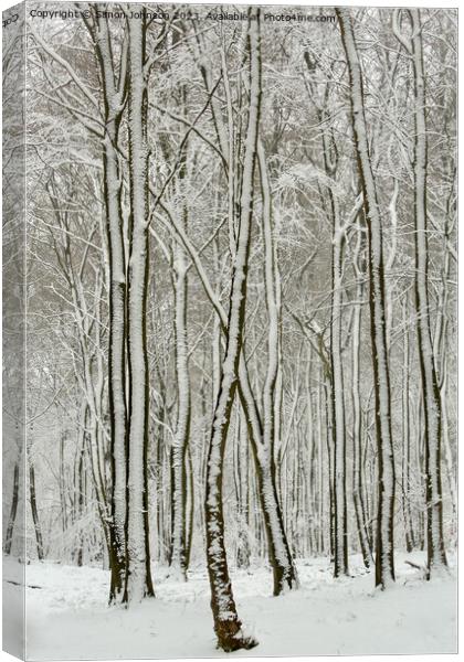 Frosted trees Canvas Print by Simon Johnson