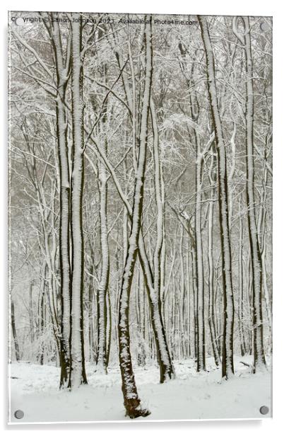 Frosted trees Acrylic by Simon Johnson