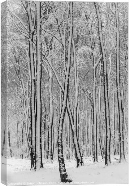 Snowy woodland  Canvas Print by Simon Johnson