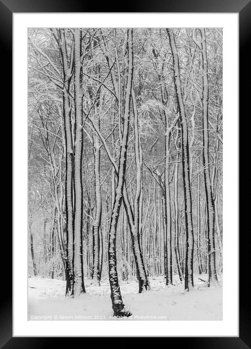 Snowy woodland  Framed Mounted Print by Simon Johnson