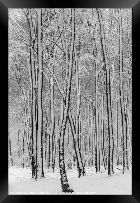 Snowy woodland  Framed Print by Simon Johnson