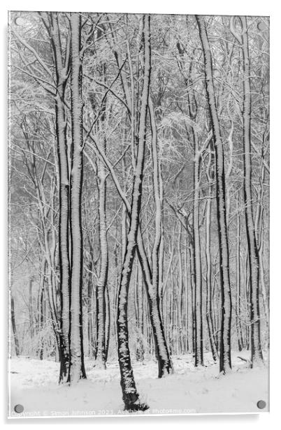 Snowy woodland  Acrylic by Simon Johnson